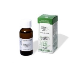 Sarandrea Echinacea Purp...