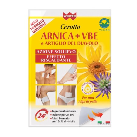 Gdp - General Dietet. Pharma Winter Cerotto Arnica + Vbe E Artiglio Del Diavolo 10 G