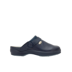 Scholl New Bonus Unpunched...