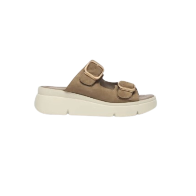 Scholl Calzatura Bali Buckle Suede W Taupe 38