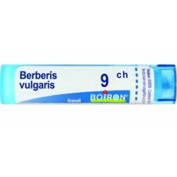 Confezione da 80 granuli (4g) di Boiron Berberis Vulgaris 9ch