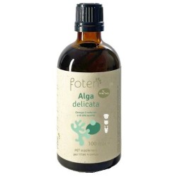 Norsan Foten Alga Delicata...