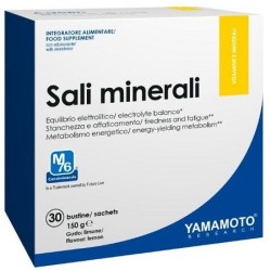 Yamamoto Research Sali...