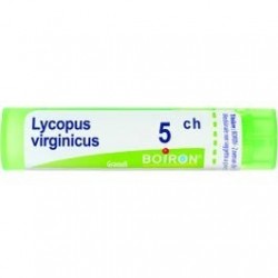 Boiron Lycopus Boi 5ch 80gr 4g
