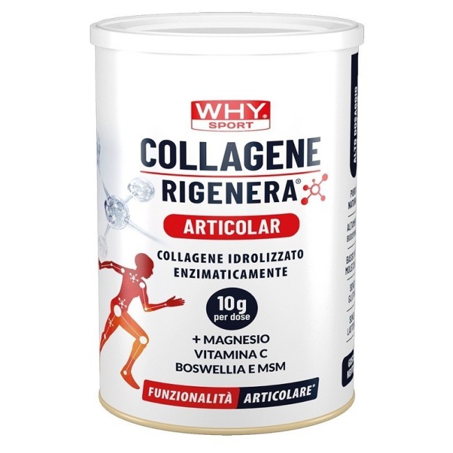 Biovita Whysport Collagene Rigenera Articolazioni 336 G Biovita Whysport Collagene Rigenera Articolazioni 336 G