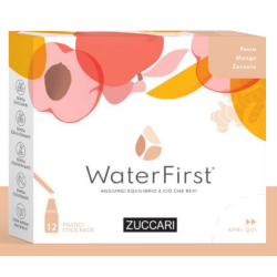 Zuccari Water First Pesca-mango-zenzero 12 Stick Pack