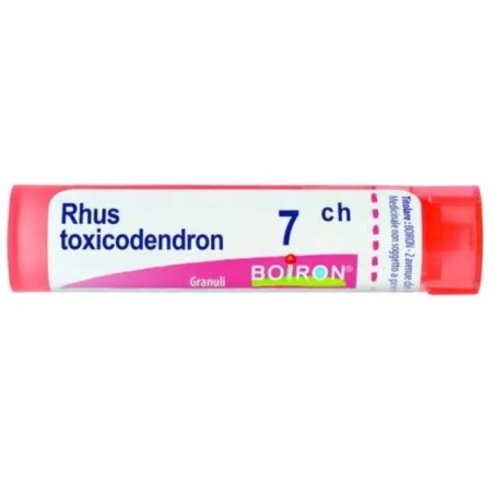 Boiron Rhus Toxicodendron 7CH tubo granuli omeopatici 4g per dolori articolari e muscolari Boiron Rhus Toxicodendron 7CH tubo granuli omeopatici 4g per dolori articolari e muscolari