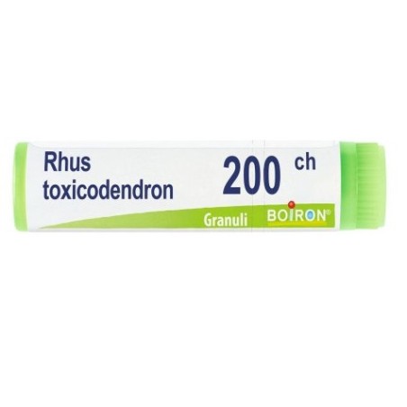 Boiron Rhus Toxicodendron 200CH tubo monodose granuli omeopatici 1g per dolori articolari Boiron Rhus Toxicodendron 200CH tubo monodose granuli omeopatici 1g per dolori articolari