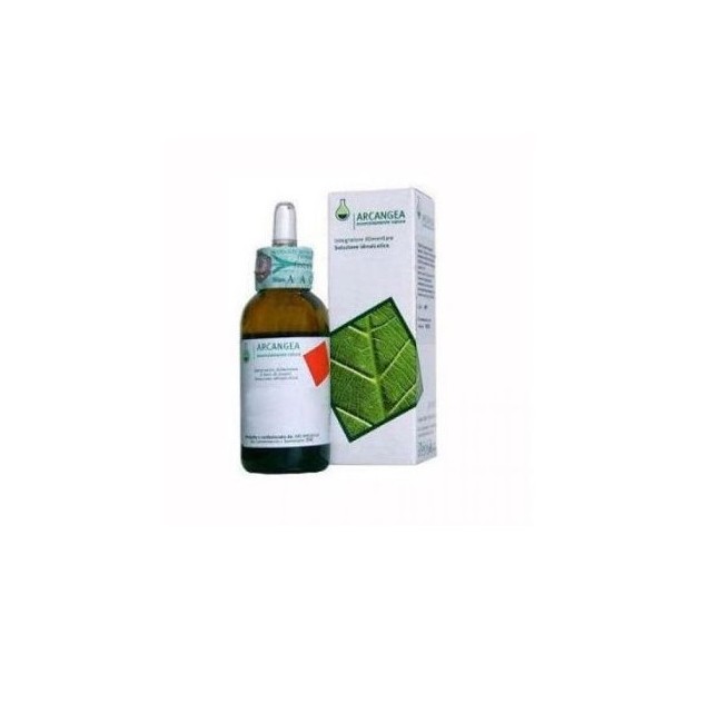 Arcangea Vaccinium Vitis Idaea Gemmoderivato 33 Bio - Integratore naturale per vie urinarie 50ml Arcangea Vaccinium Vitis Idaea Gemmoderivato 33 Bio - Integratore naturale per vie urinarie 50ml