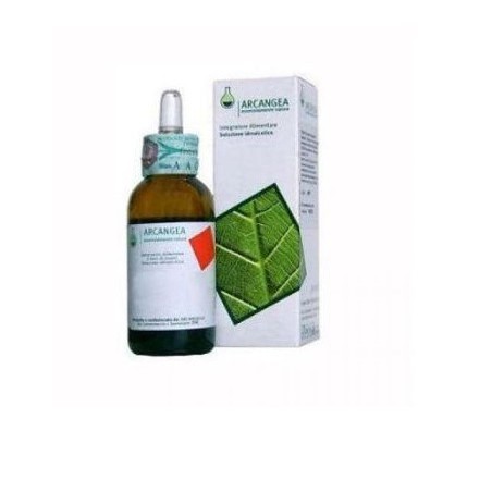 Arcangea Vaccinium Vitis Idaea Gemmoderivato 33 Bio - Integratore naturale per vie urinarie 50ml Arcangea Vaccinium Vitis Idaea Gemmoderivato 33 Bio - Integratore naturale per vie urinarie 50ml