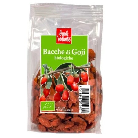 Biotobio Bacche Di Goji 100 G