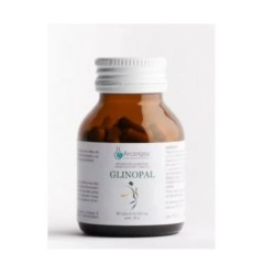 Arcangea Glinopal 60...