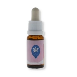 Natur Blueberry 15ml Cactus