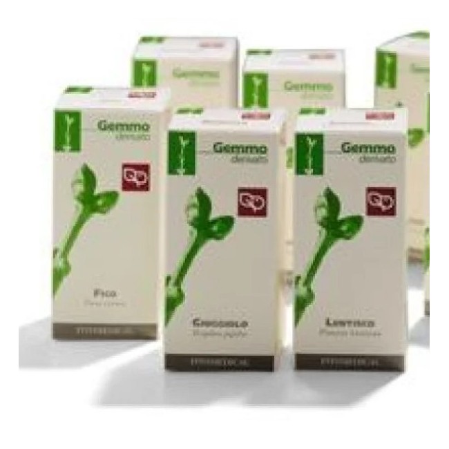 Radior Crema 30ml Fera Pharma per pelle luminosa e protetta Radior Crema 30ml Fera Pharma per pelle luminosa e protetta