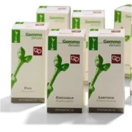 Radior Crema 30ml Fera Pharma per pelle luminosa e protetta Radior Crema 30ml Fera Pharma per pelle luminosa e protetta