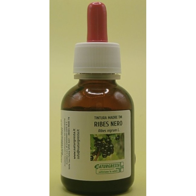 RIBES NERO T.M. 55[ 1L (pz) 1,00