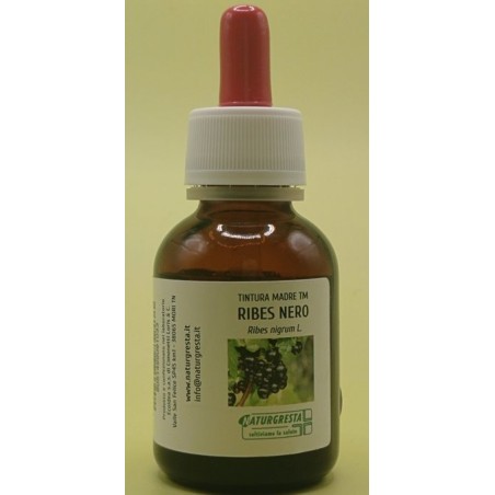 RIBES NERO T.M. 55[ 1L (pz) 1,00