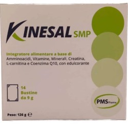 KINESAL SMP 14BUST