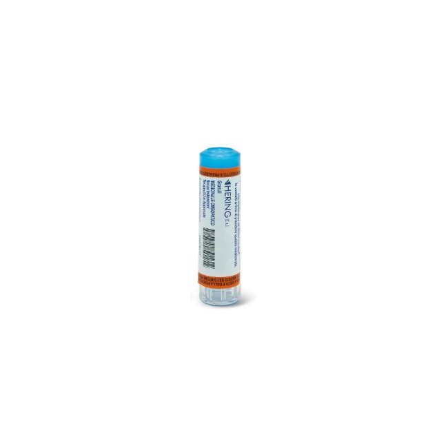 Hering Hamamelis Virginiana 30ch 80gr