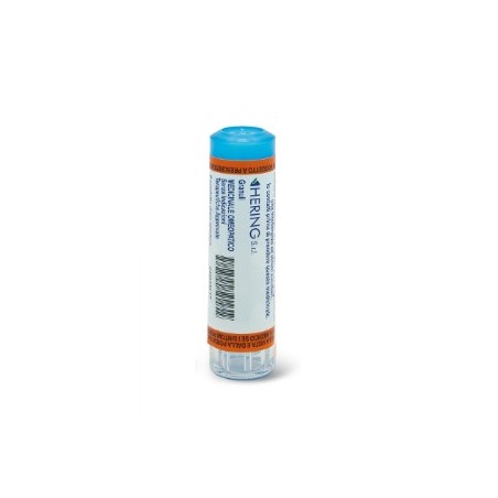 Hering Hamamelis Virginiana 30ch 80gr