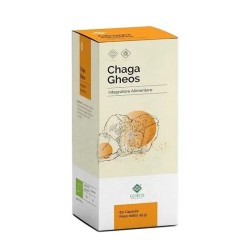 Chaga Gheos 60 capsule 750mg integratore naturale per il benessere e le difese immunitarie