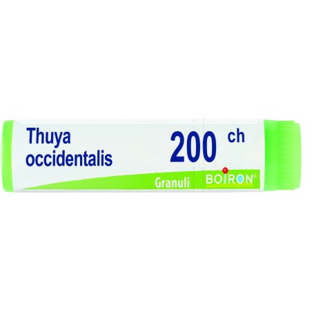 Boiron Thuya Occidentalis 200 CH Globuli Omeopatici - Tubetto monodose da 1 grammo Boiron Thuya Occidentalis 200 CH Globuli Omeopatici - Tubetto monodose da 1 grammo