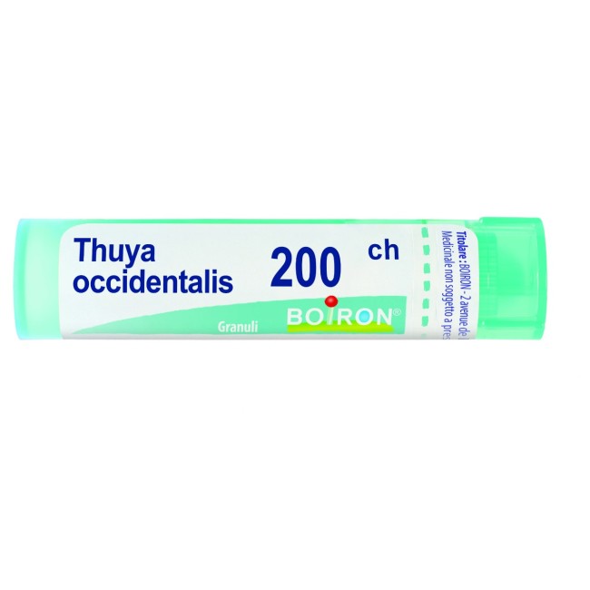Boiron Thuya Occidentalis 200 CH Granuli - Medicinale Omeopatico Tubo Dose 4g Boiron Thuya Occidentalis 200 CH Granuli - Medicinale Omeopatico Tubo Dose 4g