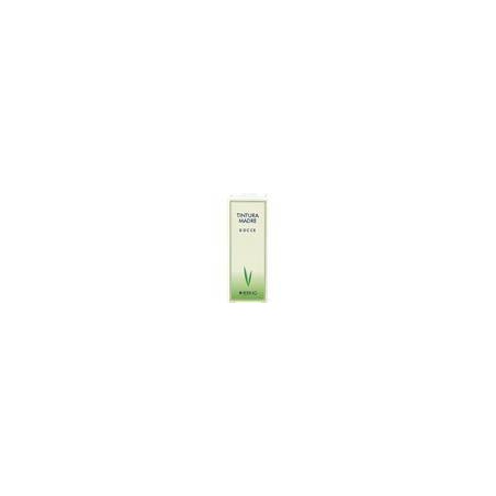 Macerato glicerico di gemme di Ribes Nigrum Hering 125ml per il benessere naturale Macerato glicerico di gemme di Ribes Nigrum Hering 125ml per il benessere naturale