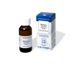 Sarandrea Sequoia Gigantea Macerato Glicerico 60 ml - Gemmoterapia per il benessere maschile