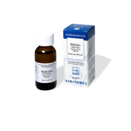 Sarandrea Sequoia Gigantea Macerato Glicerico 60 ml - Gemmoterapia per il benessere maschile Sarandrea Sequoia Gigantea Macerato Glicerico 60 ml - Gemmoterapia per il benessere maschile