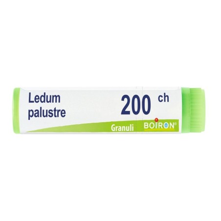 Ledum Palustre 200CH granuli omeopatici Boiron per il tuo benessere naturale Ledum Palustre 200CH granuli omeopatici Boiron per il tuo benessere naturale