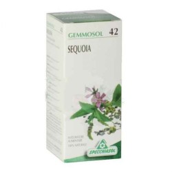 Gemmoderivato di Sequoia Specchiasol per il benessere maschile e il vigore naturale 50ml