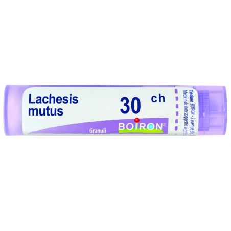 Boiron Lachesis Mutus 30 CH Granuli Omeopatici - Tubo da 4 grammi per disturbi circolatori Boiron Lachesis Mutus 30 CH Granuli Omeopatici - Tubo da 4 grammi per disturbi circolatori