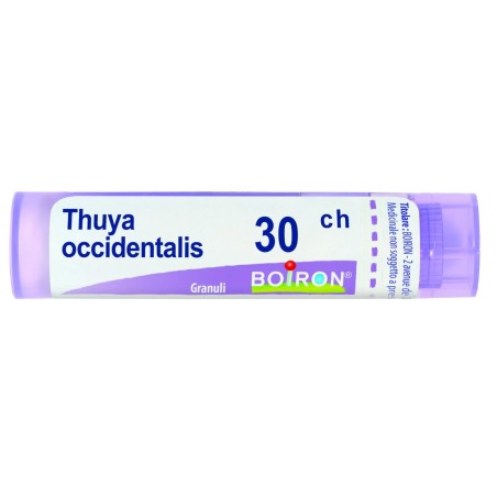 Boiron Thuya Occidentalis 30 CH Granuli - Medicinale Omeopatico Tubo 4g Boiron Thuya Occidentalis 30 CH Granuli - Medicinale Omeopatico Tubo 4g