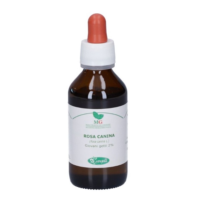 Sangalli Rosa Canina Macerato Glicerico 100 Ml - Integratore per le difese immunitarie
