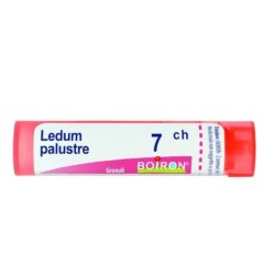 Ledum Palustre 7CH Boiron - Tubo granuli omeopatici 4g per punture e contusioni
