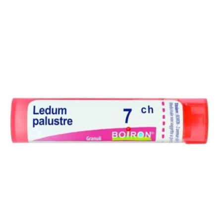 Ledum Palustre 7CH Boiron - Tubo granuli omeopatici 4g per punture e contusioni Ledum Palustre 7CH Boiron - Tubo granuli omeopatici 4g per punture e contusioni