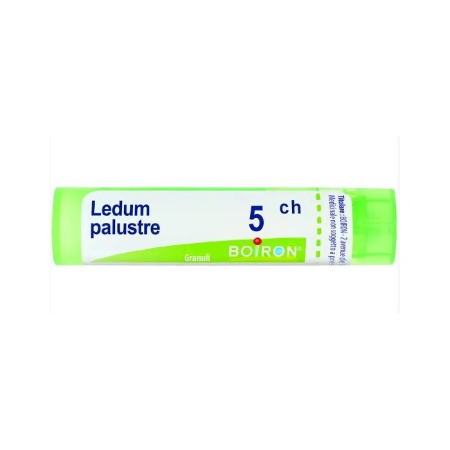 Boiron Ledum Palustre 5CH - Granuli omeopatici per allergie e punture di insetti 80gr Boiron Ledum Palustre 5CH - Granuli omeopatici per allergie e punture di insetti 80gr