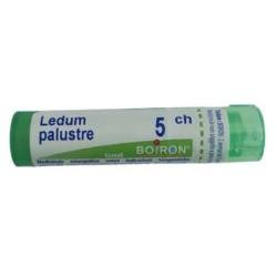 Boiron Ledum Palustre 5 Ch...