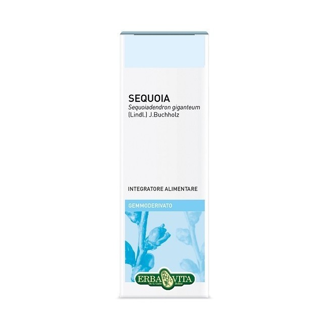 Gemmoderivato di Sequoia Erba Vita per il benessere naturale dell'organismo 50 ml