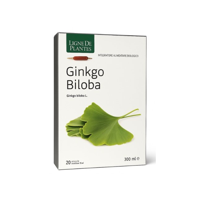 Natura Service Ginkgo Biloba Biologico 20 Ampolle Bevibili Da 15 Ml Natura Service Ginkgo Biloba Biologico 20 Ampolle Bevibili Da 15 Ml