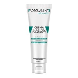 Consulteam Adeguamina Pelli...