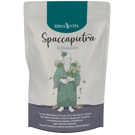 Erba Vita Spaccapietra 100 G