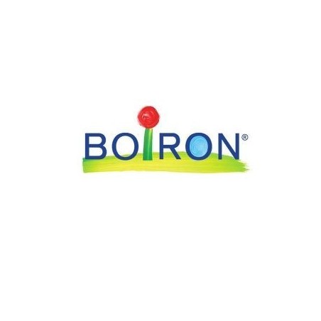 Boiron Nux Vomica Boi 5ch Gl 1g