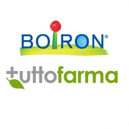 Boiron Pulsatilla Boi 6ch 80gr 4g