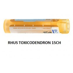 Boiron Rhus Toxicod Boi 15ch 80gr4g