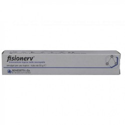 S. F. Group Fisionerv...