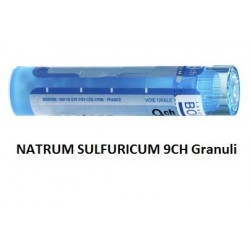 Boiron Natrum Sulf Boi 9ch 80gr 4g