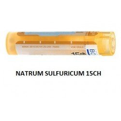 Boiron Natrum Sulf Boi 15ch...