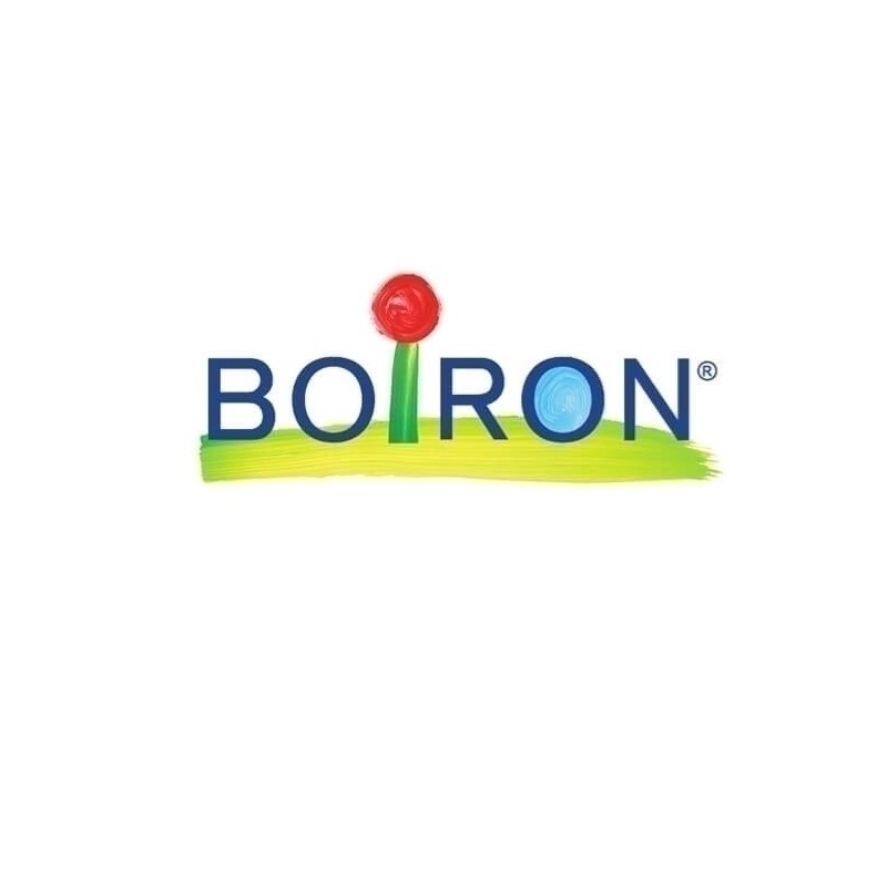 Boiron Natrum Sulf Boi 10000k Gl 1g